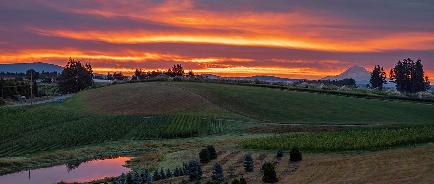 sunset over farm field and pond